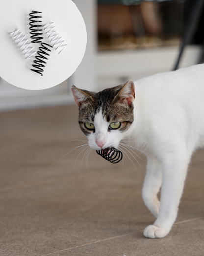 MIOMIAU BOX - Weihnachtsedition