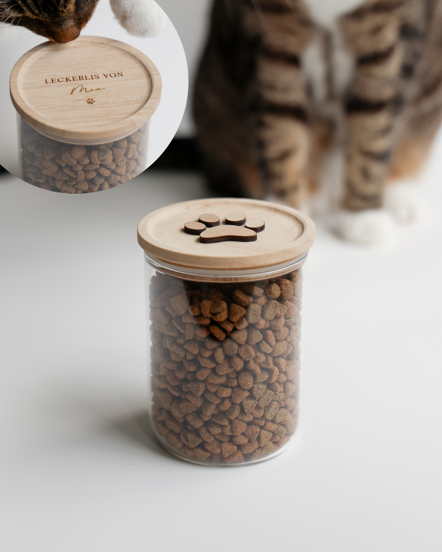 MIOMIAU BOX - Weihnachtsedition